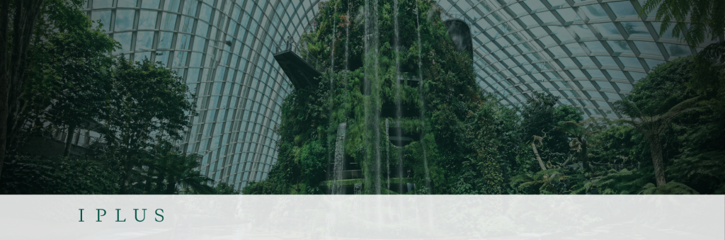 Finanza sostenibile: ESG e rischio d'impresa